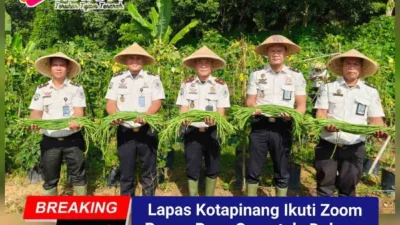 Lapas Kotapinang Ikuti Zoom Panen Raya Serentak, Dukung Ketahanan Pangan Nasional