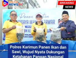 Polres Karimun Panen Ikan dan Sawi, Wujud Nyata Dukungan Ketahanan Pangan Nasional