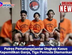 Polres Pematangsiantar Ungkap Kasus Kepemilikan Ganja, Tiga Pemuda Diamankan