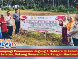 Polri Dampingi Penanaman Jagung 1 Hektare di Labuhanbatu Selatan, Dukung Swasembada Pangan Nasional