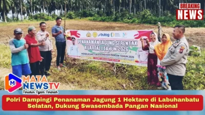 Polri Dampingi Penanaman Jagung 1 Hektare di Labuhanbatu Selatan, Dukung Swasembada Pangan Nasional
