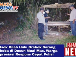 Polsek Bilah Hulu Grebek Sarang Narkoba di Dusun Mual Mas, Warga Apresiasi Respons Cepat Polisi