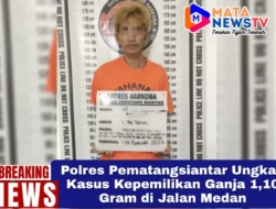 Polres Pematangsiantar Ungkap Kasus Kepemilikan Ganja 1,10 Gram di Jalan Medan
