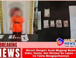 Berani Banget! Anak Magang Bawa Sabu, Ganja, dan Ekstasi ke Lapas — Ini Fakta Mengejutkannya