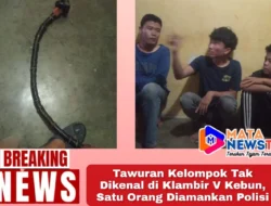 Tawuran Kelompok Tak Dikenal di Klambir V Kebun, Satu Orang Diamankan Polisi