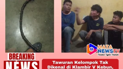 Tawuran Kelompok Tak Dikenal di Klambir V Kebun, Satu Orang Diamankan Polisi