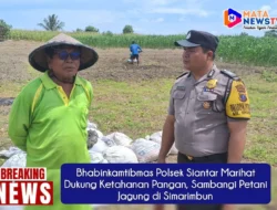 Bhabinkamtibmas Polsek Siantar Marihat Dukung Ketahanan Pangan, Sambangi Petani Jagung di Simarimbun