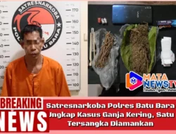 Satresnarkoba Polres Batu Bara Ungkap Kasus Ganja Kering, Satu Tersangka Diamankan