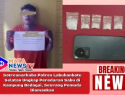 Satresnarkoba Polres Labuhanbatu Selatan Ungkap Peredaran Sabu di Kampung Bedagai, Seorang Pemuda Diamankan