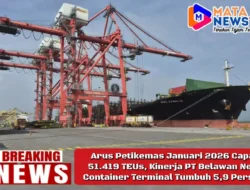 Arus Petikemas Januari 2026 Capai 51.419 TEUs, Kinerja PT Belawan New Container Terminal Tumbuh 5,9 Persen
