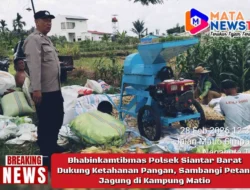 Bhabinkamtibmas Polsek Siantar Barat Dukung Ketahanan Pangan, Sambangi Petani Jagung di Kampung Matio