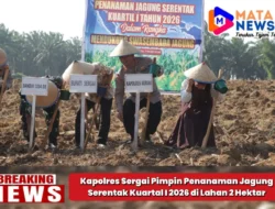 Kapolres Sergai Pimpin Penanaman Jagung Serentak Kuartal I 2026 di Lahan 2 Hektar