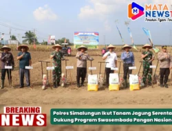 Polres Simalungun Ikut Tanam Jagung Serentak, Dukung Program Swasembada Pangan Nasional