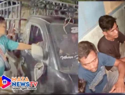 Kasus Dugaan Pencurian Lembu di Nagodang Kotapinang Berakhir Damai, Pelaku Minta Video Viral Dihapus