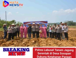 Polres Labusel Tanam Jagung Serentak di Desa Sosopan Dukung Ketahanan Pangan