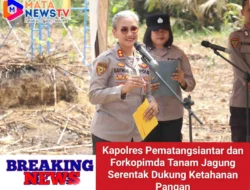 Kapolres Pematangsiantar dan Forkopimda Tanam Jagung Serentak Dukung Ketahanan Pangan