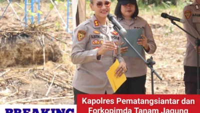 Kapolres Pematangsiantar dan Forkopimda Tanam Jagung Serentak Dukung Ketahanan Pangan