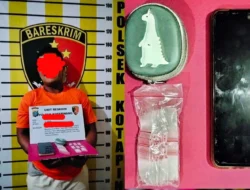 Residivis Narkoba Kembali Ditangkap, Polisi Sita 8 Paket Sabu di Kotapinang