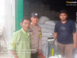 Polsek Siantar Marihat Dampingi Penjualan Jagung Petani Binaan ke Bulog
