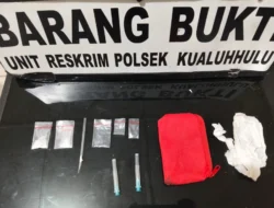 Polsek Kualuh Hulu Ungkap Kasus Sabu di Labura, Seorang Pria Diamankan