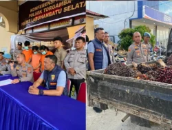 Polsek Torgamba Ungkap Pencurian Sawit di Bakaran Batu, Tiga Pelaku Ditangkap Saat Angkut Hasil Curian