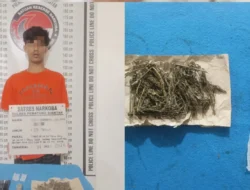 Berantas Peredaran Narkoba, Polres Pematangsiantar Tangkap Pemuda Pemilik Ganja 23,47 Gram