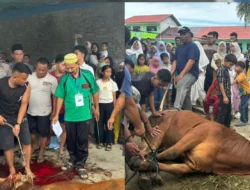 Sambut Idul Adha 1447 H, Polres Nias Selatan Salurkan 8 Hewan Kurban ke Masjid dan Ponpes