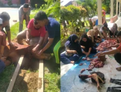 Semangat Berkurban, Yayasan Perguruan Amir Hamzah Tanamkan Nilai Keikhlasan dan Kepedulian Sejak Dini