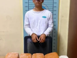 Satresnarkoba Polres Aceh Tenggara Gagalkan Peredaran 13,35 Kg Ganja di Ketambe, Seorang Pemuda Diamankan