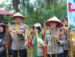 Panen Raya Jagung Serentak, Polres Karimun Perkuat Dukungan Ketahanan Pangan Nasional