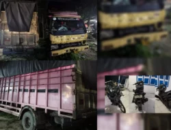 Laga Kambing di Jalinsum Sei Bamban, Pengendara Aerox Patah Tulang