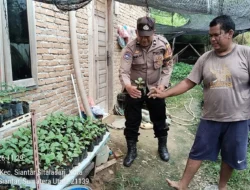 Bhabinkamtibmas,Sambangi Warga Binaan Manfaatkan Pekarangan Rumah Tanam Tanaman Produktif