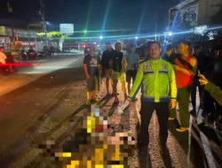 Pelajar 17 Tahun Tewas Ditabrak Truk di Jalinsum Sergai, Sopir Kabur Usai Kecelakaan