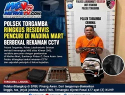 Polsek Torgamba Tangkap Residivis Pembobol Madina Mart, Terungkap Berkat Rekaman CCTV