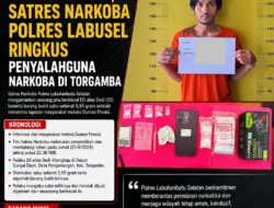 Dilaporkan Lewat Dumas Presisi, Satres Narkoba Polres Labusel Ringkus Penyalahguna Sabu di Torgamba