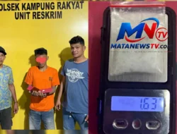 Polsek Kampung Rakyat Ringkus Pria Diduga Bawa Sabu 1,63 Gram di Perkebunan Sawit Tanjung Mulia