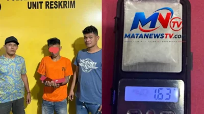 Polsek Kampung Rakyat Ringkus Pria Diduga Bawa Sabu 1,63 Gram di Perkebunan Sawit Tanjung Mulia