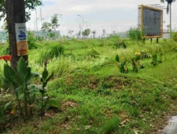 Sport Center Batang Kuis Kusam, DPD LBHK-Wartawan Desak Pengelola Bertindak