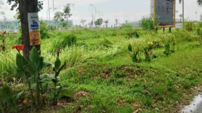 Sport Center Batang Kuis Kusam, DPD LBHK-Wartawan Desak Pengelola Bertindak