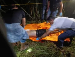 Pria Ditemukan Tewas di Kebun Tebu Bulu Cina, Kaki Terikat, Diduga Korban Perampokan