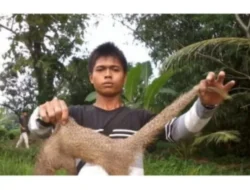 Tewas di Rutan Tanjung Gusta, Keluarga Jopi Sembiring Pertanyakan Kronologi Kematian