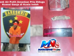 Polsek Air Putih Amankan Pria Diduga Kuasai Ganja di Kuala Indah