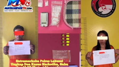 Satresnarkoba Polres Labusel Ungkap Dua Kasus Narkotika, Sabu dan 10 Pil Ekstasi Diamankan