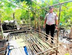 GSN Polsek Sungai Kanan Bongkar Pondok Diduga Jadi Lokasi Penyalahgunaan Narkoba