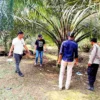 Tindaklanjuti Aduan Warga, Polsek Kampung Rakyat Gerebek Lokasi Diduga Sarang Narkoba di Perlabian