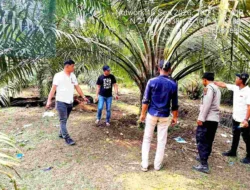 Tindaklanjuti Aduan Warga, Polsek Kampung Rakyat Gerebek Lokasi Diduga Sarang Narkoba di Perlabian