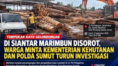 Tumpukan Kayu Gelondongan di Simarimbun Disorot, Legalitas Somel Dipertanyakan