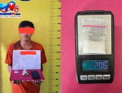 Satresnarkoba Polres Labusel Amankan Pria dan 2,06 Gram Sabu di Perkebunan Sei Rumbia