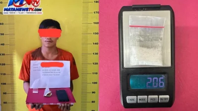 Satresnarkoba Polres Labusel Amankan Pria dan 2,06 Gram Sabu di Perkebunan Sei Rumbia