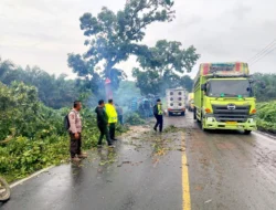 Laka Tunggal Picu Kemacetan di Jalinsum Sisumut, Satlantas Polres Labusel Sigap Urai Arus